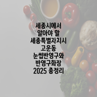 세종시에서 알아야 할 세종특별자치시 고운동 눈썹반영구와 반영구화장 2025 총정리