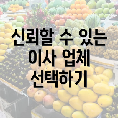 신뢰할 수 있는 이사 업체 선택하기