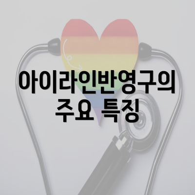 아이라인반영구의 주요 특징