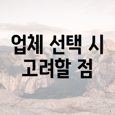 업체 선택 시 고려할 점