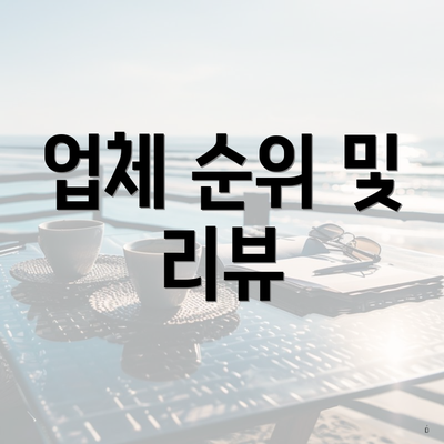 업체 순위 및 리뷰