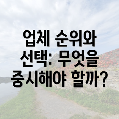 업체 순위와 선택: 무엇을 중시해야 할까?