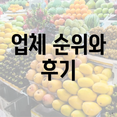 업체 순위와 후기