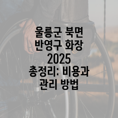 울릉군 북면 반영구 화장 2025 총정리: 비용과 관리 방법