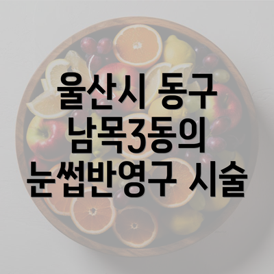 울산시 동구 남목3동의 눈썹반영구 시술