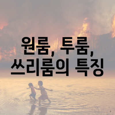 원룸, 투룸, 쓰리룸의 특징