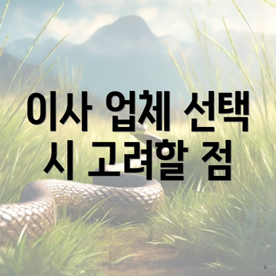 이사 업체 선택 시 고려할 점