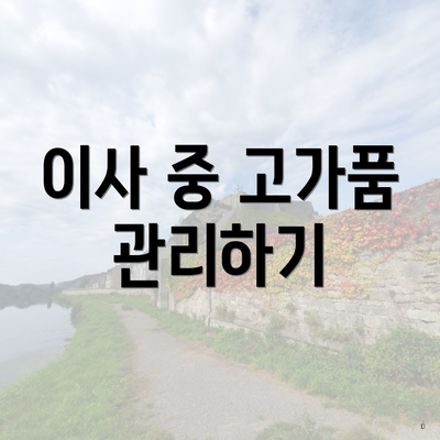 이사 중 고가품 관리하기