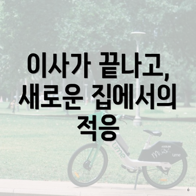 이사가 끝나고, 새로운 집에서의 적응