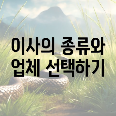 이사의 종류와 업체 선택하기