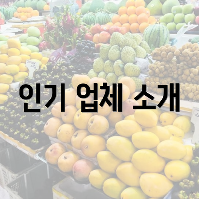 인기 업체 소개