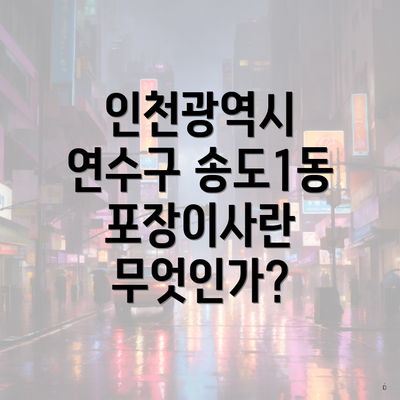 인천광역시 연수구 송도1동 포장이사란 무엇인가?