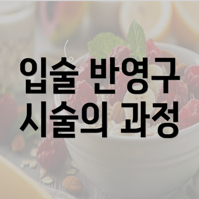 입술 반영구 시술의 과정