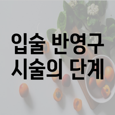 입술 반영구 시술의 단계