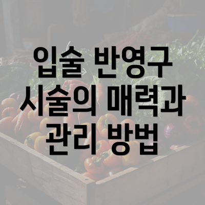 입술 반영구 시술의 매력과 관리 방법