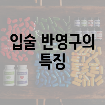 입술 반영구의 특징