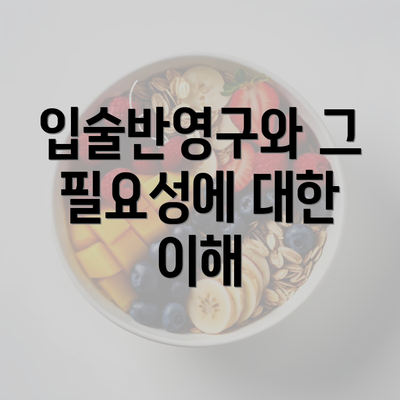 입술반영구와 그 필요성에 대한 이해