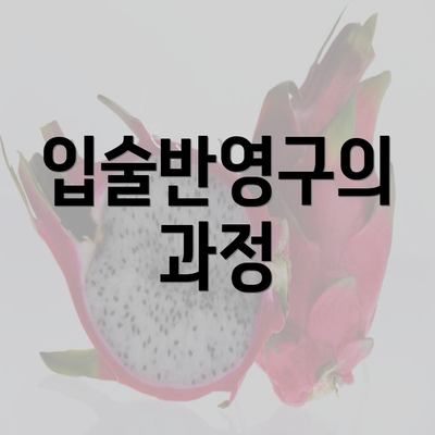 입술반영구의 과정