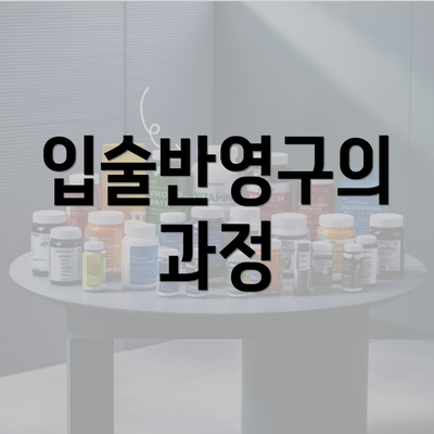 입술반영구의 과정