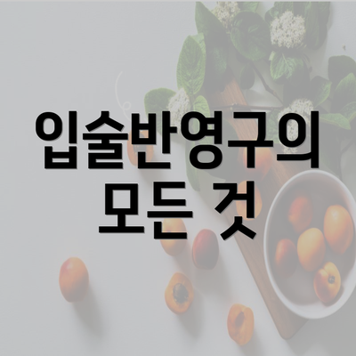 입술반영구의 모든 것