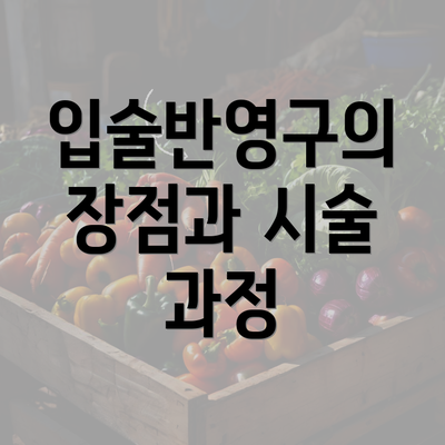 입술반영구의 장점과 시술 과정