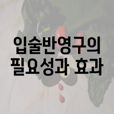 입술반영구의 필요성과 효과