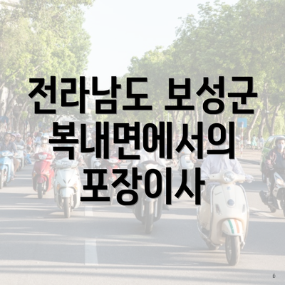 전라남도 보성군 복내면에서의 포장이사