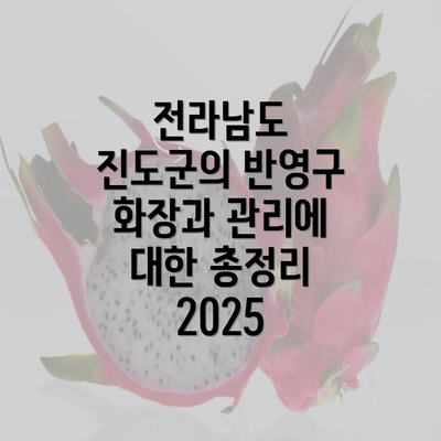 전라남도 진도군의 반영구 화장과 관리에 대한 총정리 2025