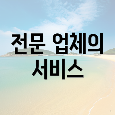 전문 업체의 서비스