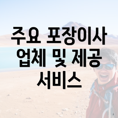 주요 포장이사 업체 및 제공 서비스