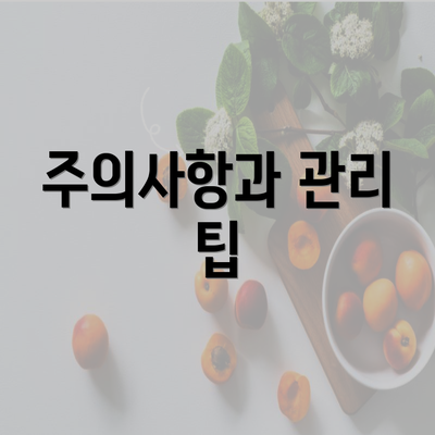 주의사항과 관리 팁