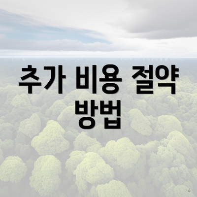 추가 비용 절약 방법