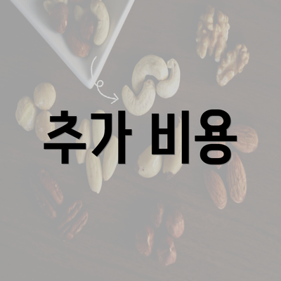 추가 비용