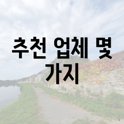 추천 업체 몇 가지