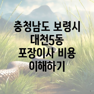 충청남도 보령시 대천5동 포장이사 비용 이해하기