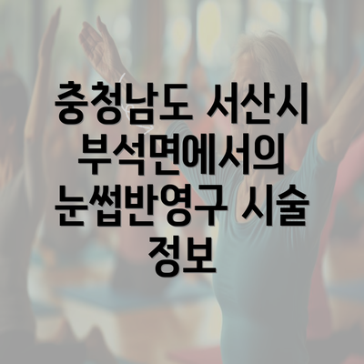 충청남도 서산시 부석면에서의 눈썹반영구 시술 정보