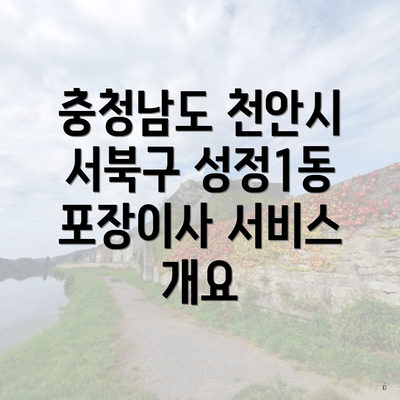 충청남도 천안시 서북구 성정1동 포장이사 서비스 개요