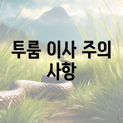 투룸 이사 주의 사항