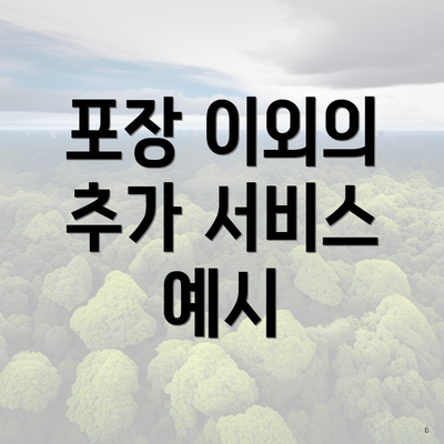 포장 이외의 추가 서비스 예시