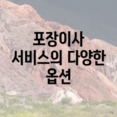 포장이사 서비스의 다양한 옵션