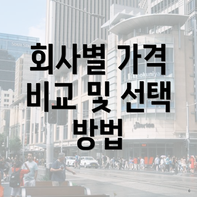 회사별 가격 비교 및 선택 방법